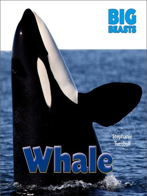 cover image of Whale